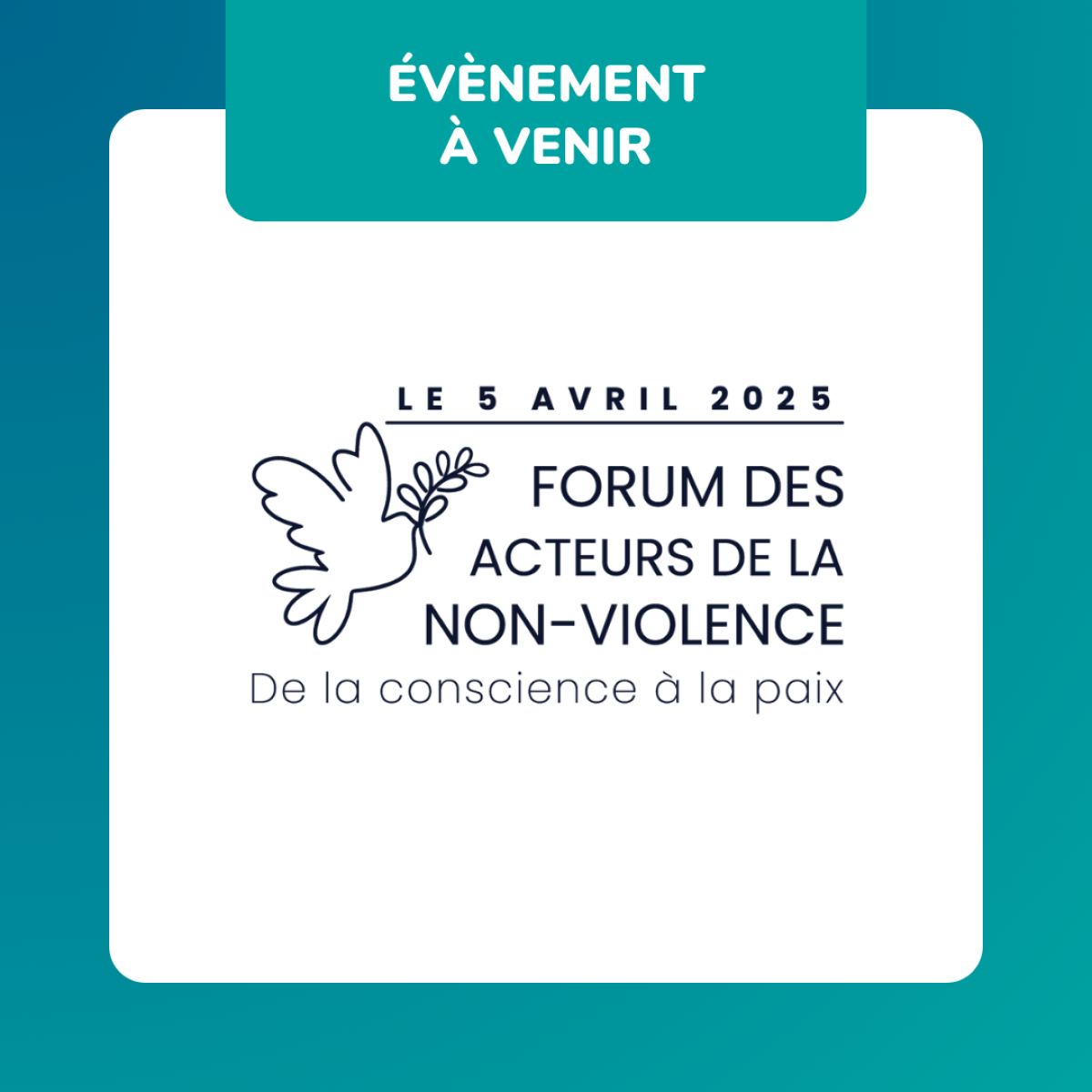 actu site2