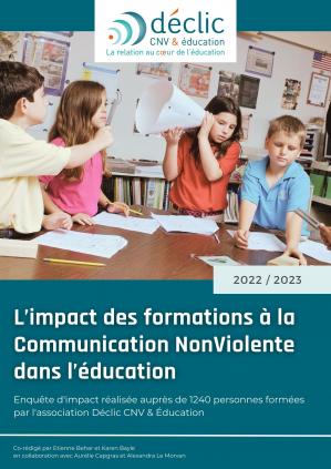Rapport dimpact